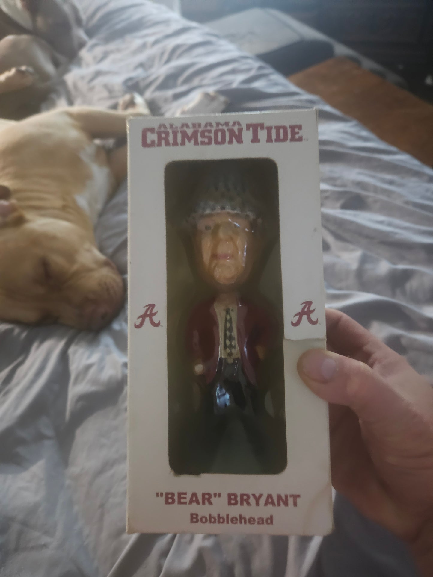 "Bear" Bryant Alabama Crimson Tide Bobblehead — Mint in Box, Unopened