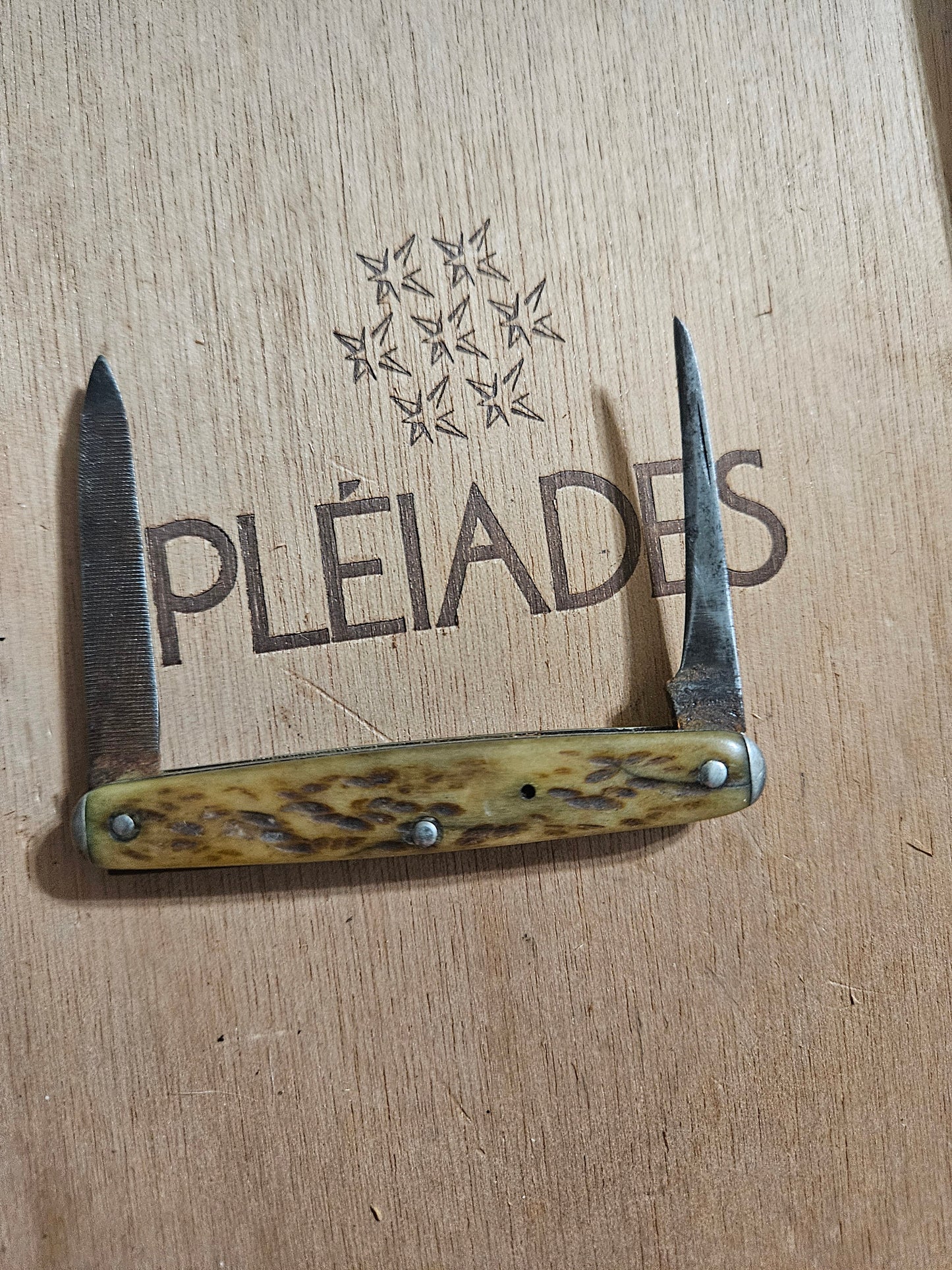 Vintage Boker 2-Blade Pen Knife – Prehistoric Stag Handle, Time Capsule Piece
